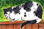 animal.jpg